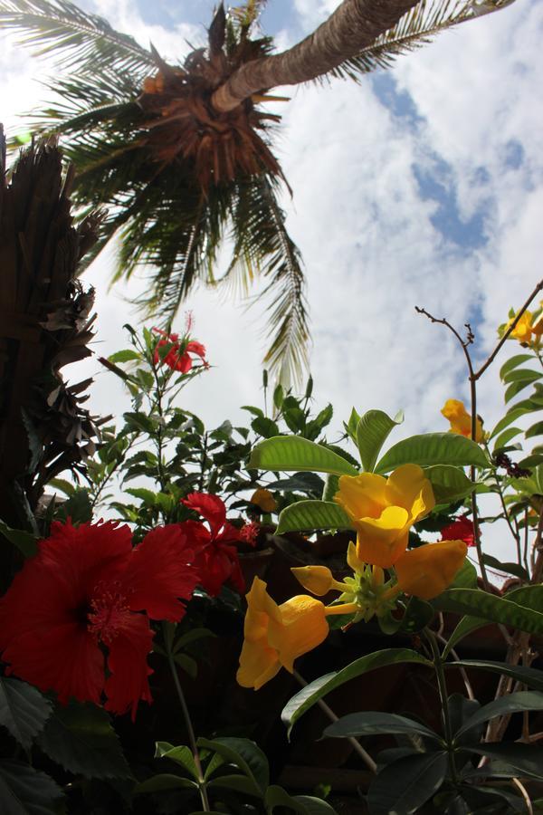 Flow Hotel Jijoca de Jericoacoara Buitenkant foto